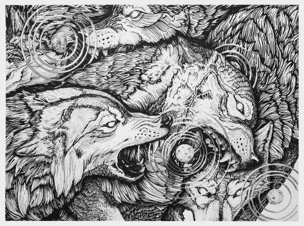 Волк гравюра