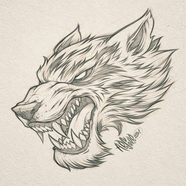 Тату волк сбоку