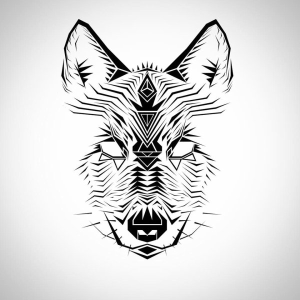 Морда волка Графика