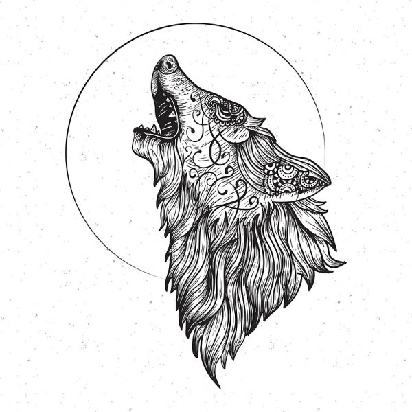 Морда волка Графика