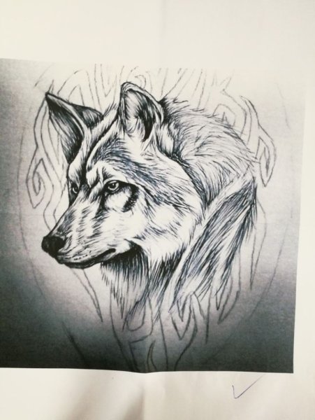 Волк Графика эскиз