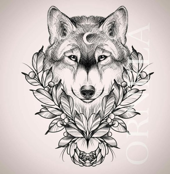 Тату волк Eskiz