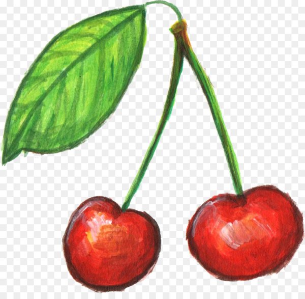 Вишня для детей