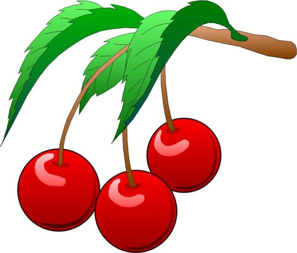 Вишня раскраска