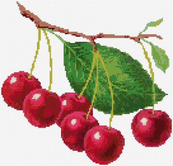 Ветка с ягодами акварелью