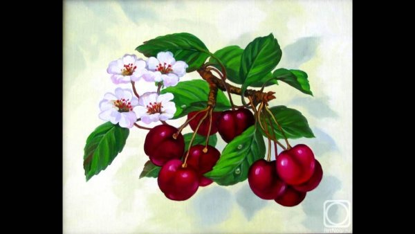 Рисование цветов сакуру