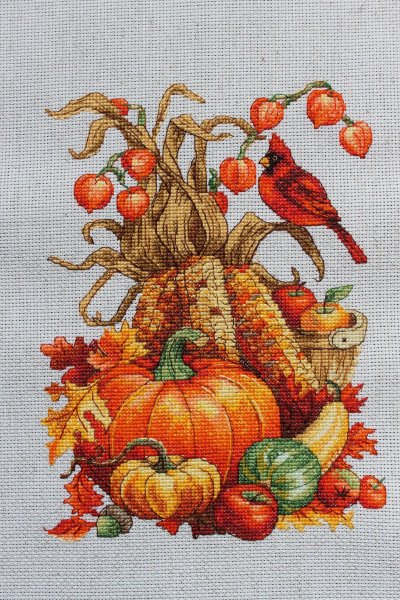 Тыква Ксения Адоньева отшив