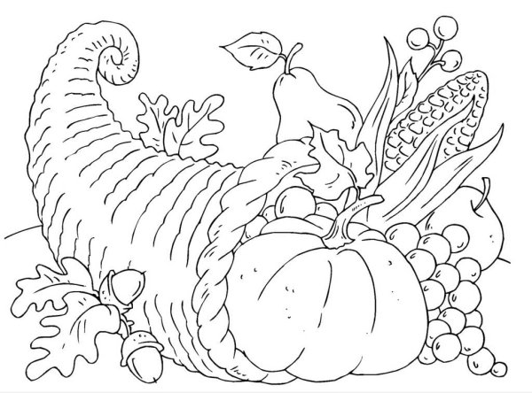 Осенние фрукты раскраска