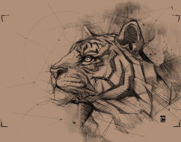 Тигр геометрия эскиз
