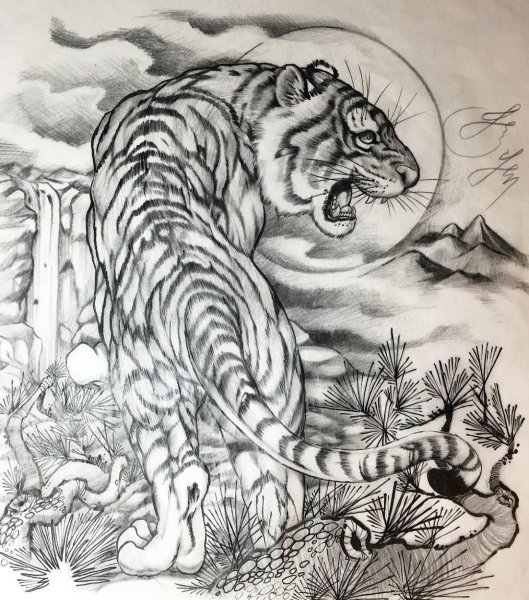 Ирэдзуми эскизы тигр