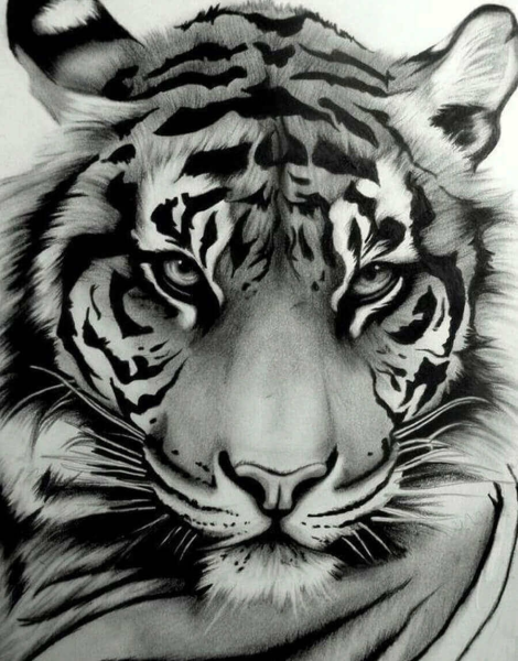 Тату тигр