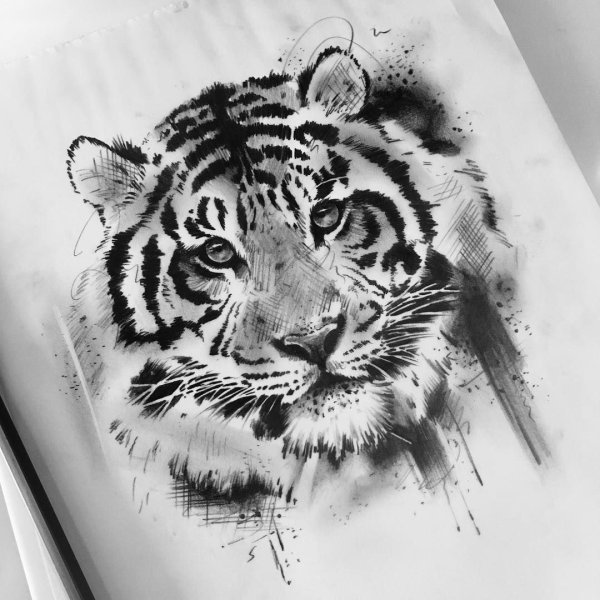 Тигр эскиз Графика