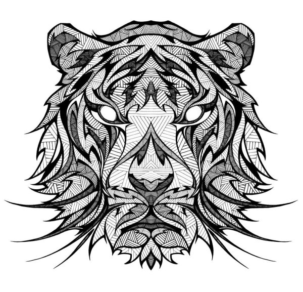 Тигр эскиз