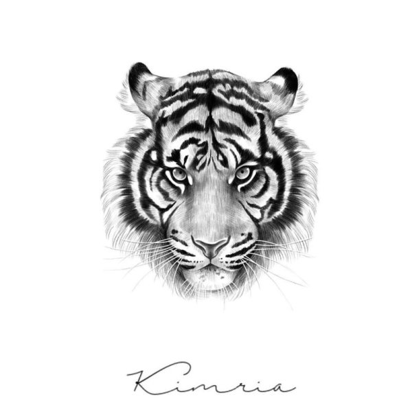 Эскизы татуировок тигр
