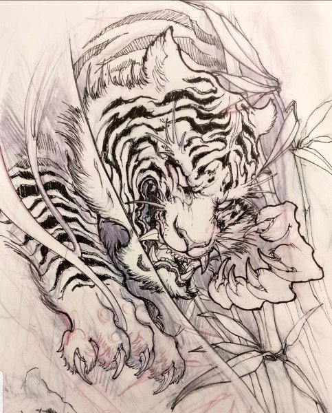 Ирэдзуми эскизы тигр