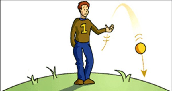 Сила тяжести по физике