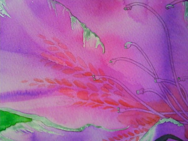 Рисование по мокрой бумаге