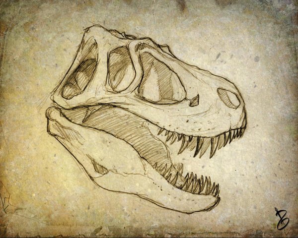 Стилизованный череп динозавра