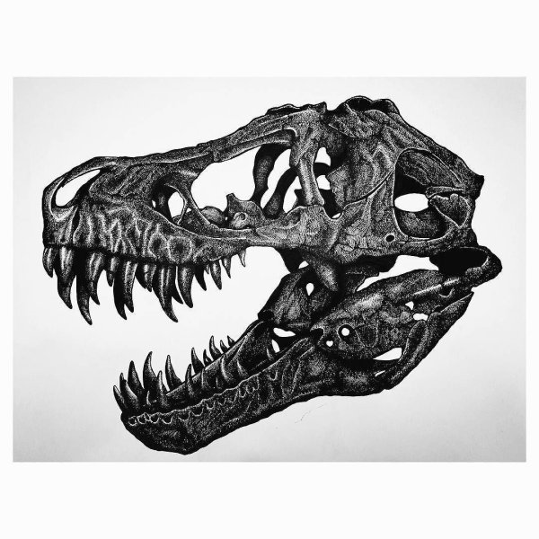 Череп динозавра Николаса Кейджа