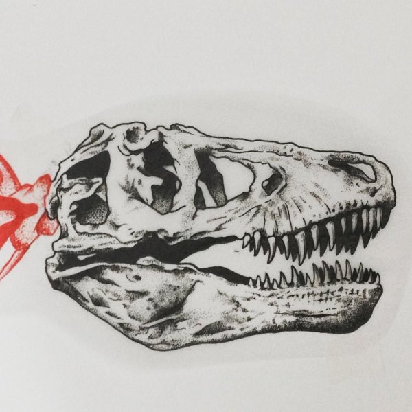 Череп динозавра тату