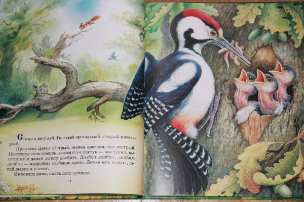 Сказки о животных Виталий Бианки