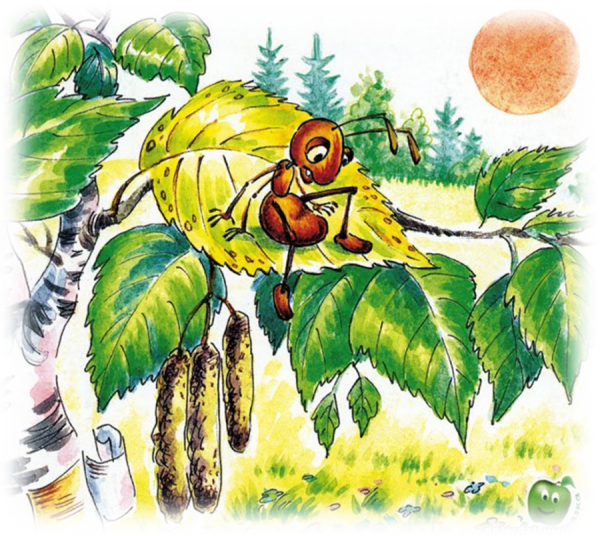 Бианки муравьишка домой спешил