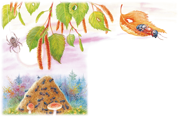 Бианки в. в. "как муравьишка домой спешил"