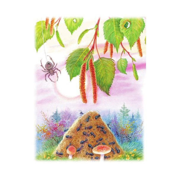 Виталий Бианки муравьишка