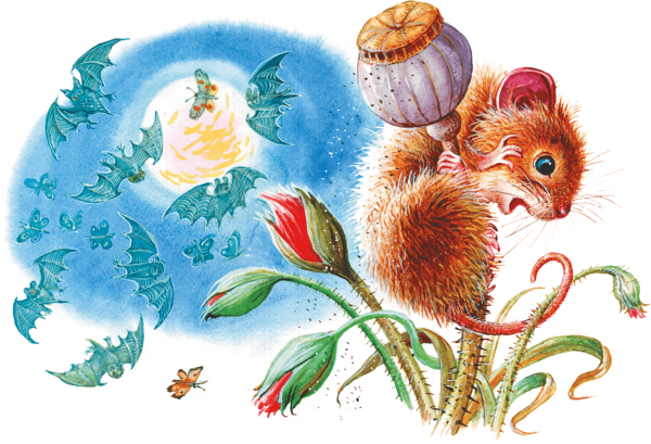 Бианки в.в. "мышонок пик"