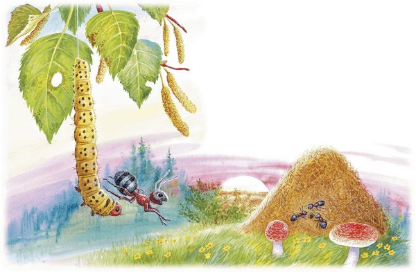 Приключение муравья Бианки