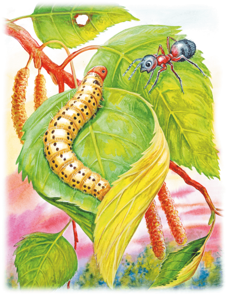 Приключения муравьишки Бианки гусеница листовертка