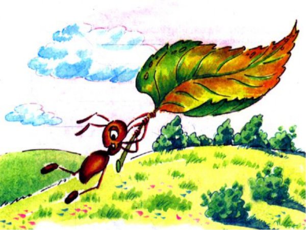 Виталий Бианки муравьишка