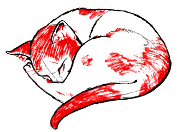 Кошка спит клубочком