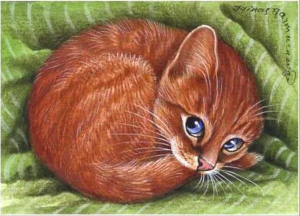 Рыжий кот Ирина Гармашова