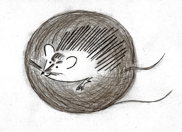 Клубочек для рисования штрихом