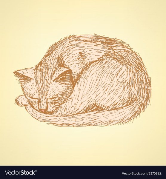 Кот с клубком референс