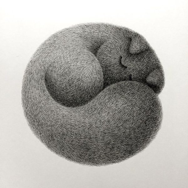 Художник Камвей Фонг (Kamwei Fong, псевдоним бо)