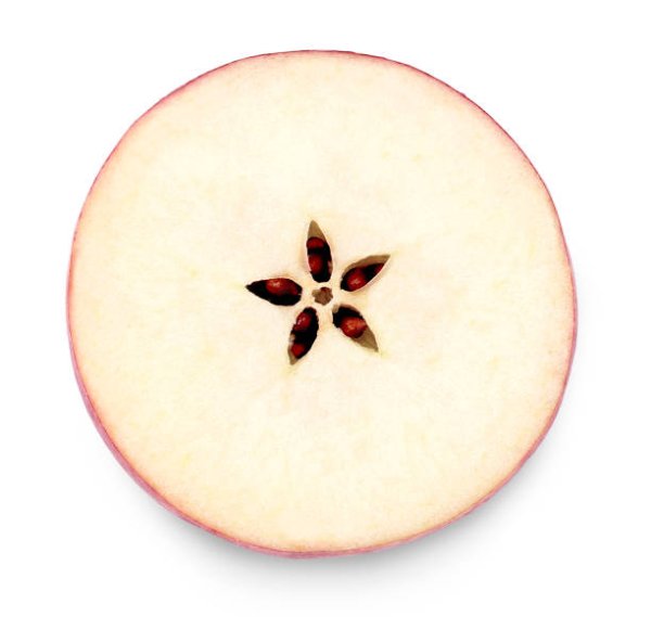 Яблоко в горизонтальном разрезе