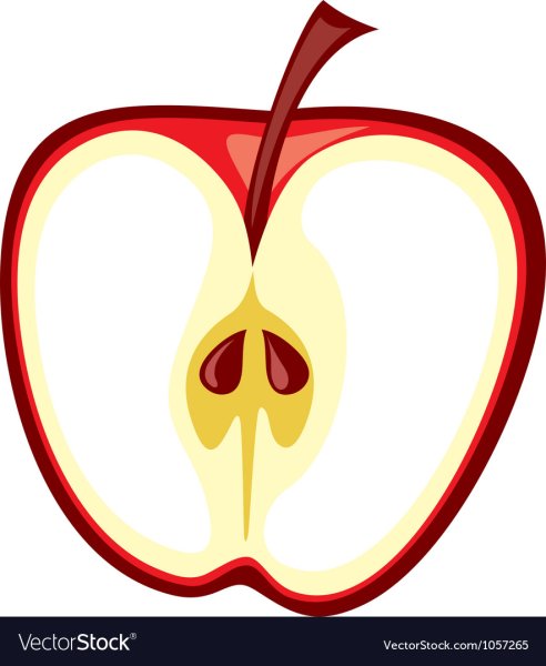 Яблоко в разрезе для детей