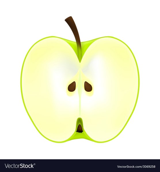 Яблоко разрезанное вектор