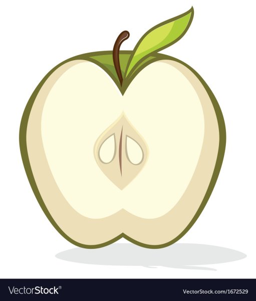 Нарисовать яблоко в разрезе