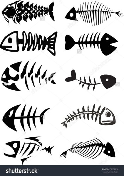 Скелет рыбки