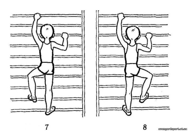 Схема упражнений утренней гимнастики