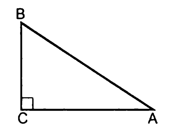 Прямоугольный треугольник ABC
