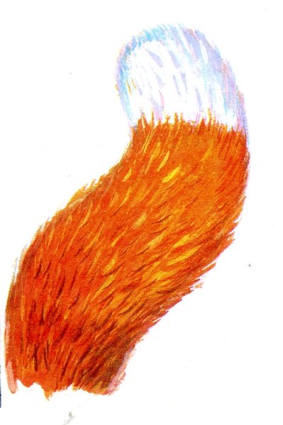 Лисий хвост для детей