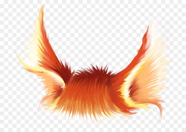 Лисий хвост для детей