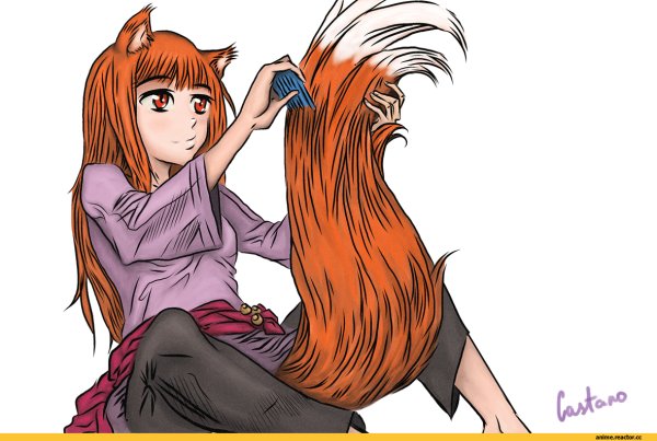 Лиса в виде человека