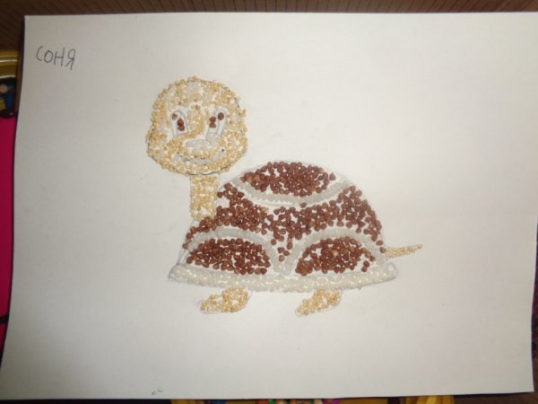 Аппликация из гречки и риса