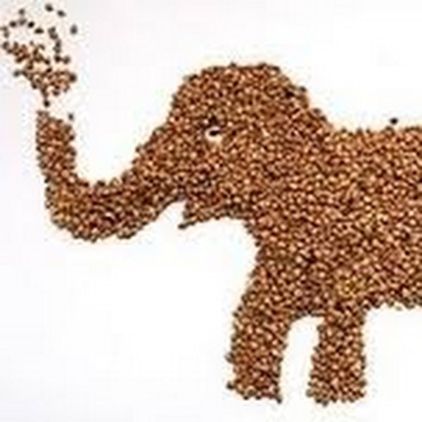 Животные из крупы