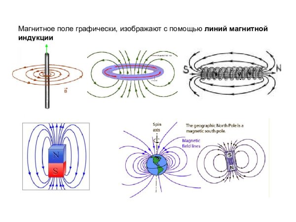 Силовые линии магнитного поля и магнитная индукция